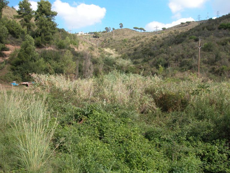 34. Bassa Gran 2 768x576