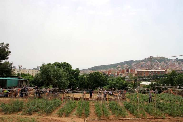 El Tros den Marcel·li 768x512