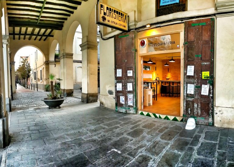 2.FLORI 1 768x548