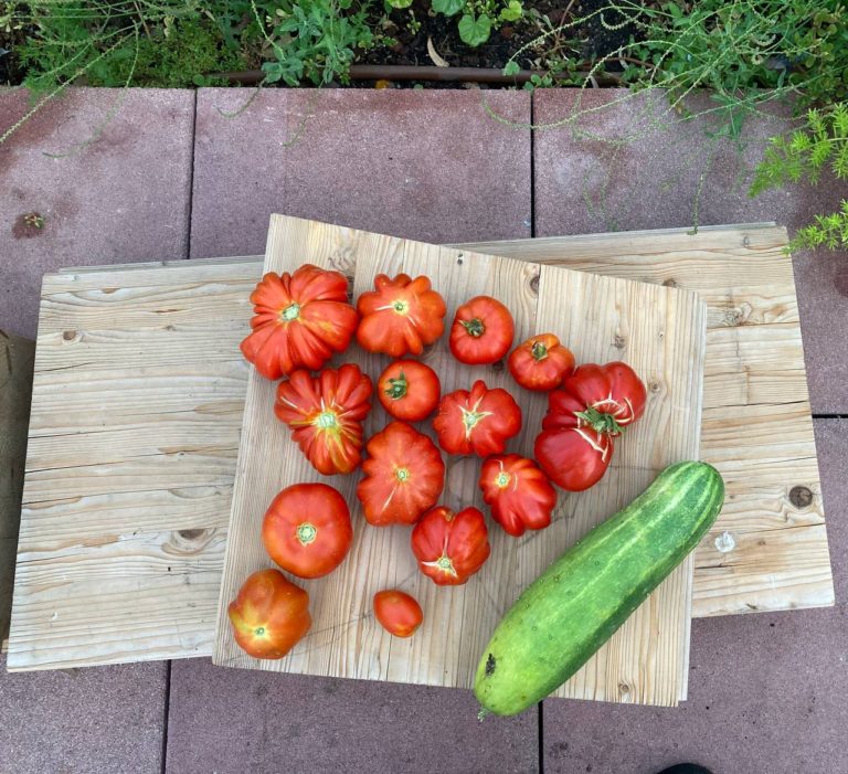 photo5816742138631795763 768x701