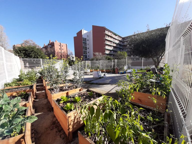 WhatsApp Image 2022 02 01 at 12.41.37 1 768x576