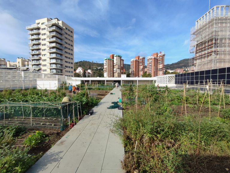 LHort del Mercat 2023 768x577